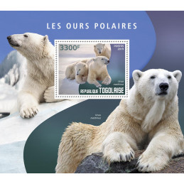 LES OURS POLAIRES