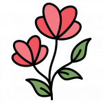 Bouquets de fleurs
