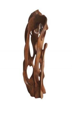 Bois en lianes - Image 1