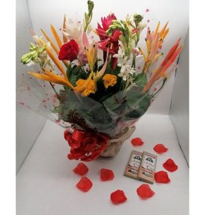 PACK NINI - Image 1