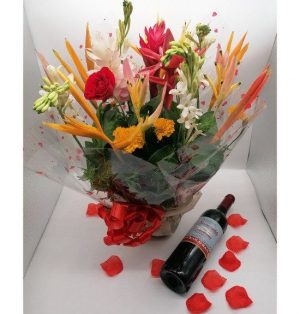 PACK SOLIM – Image 1