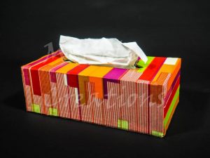 CONSOLATRICE - Image 1