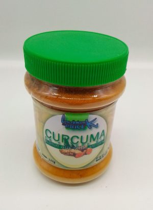 CURCUMA EN POUDRE BIO - Image 1