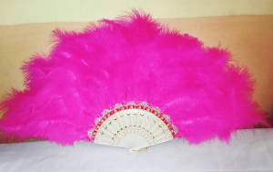 EVENTAIL EN PLUMES - Image 1