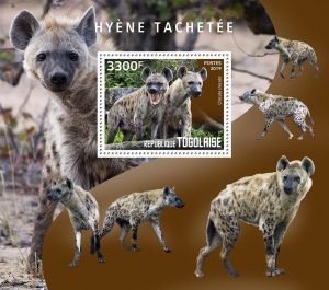 HYENE TACHETEE - Image 1