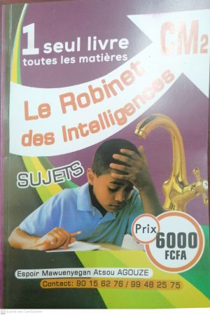 LE ROBINET DES INTELLIGENCES CM2 – Image 1