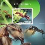 LES FOURMIS