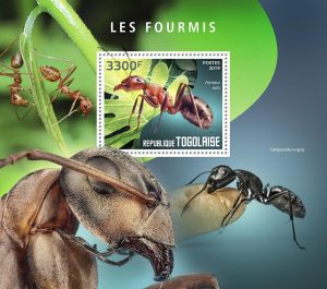 LES FOURMIS – Image 1