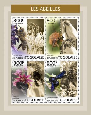 LES ABEILLES - Image 1
