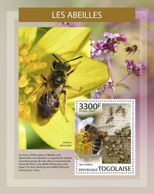 LES ABEILLES - Image 1