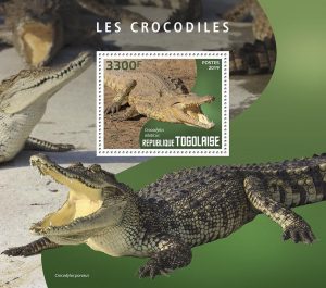 LES CROCODILES – Image 1