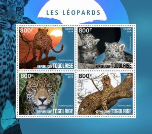 LES LEOPARDS - Image 1