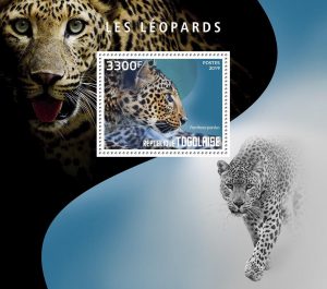 LES LEOPARDS – Image 1