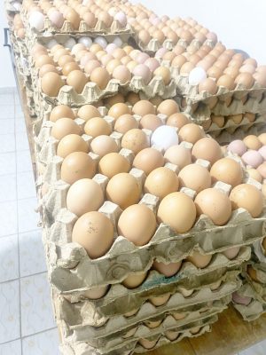Les Oeufs Chido'S – Image 1