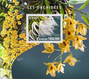 LES ORCHIDEES - Image 1