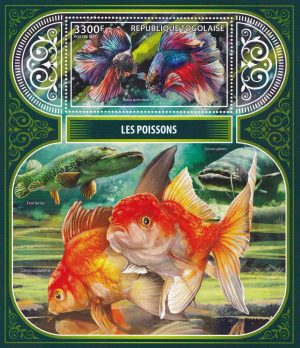LES POISSONS – Image 1