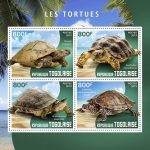 LES TORTUES