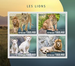 LES LIONS - Image 1