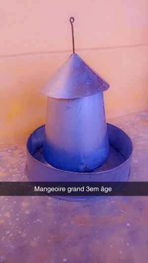 Mangeoire pour poussin – Image 1