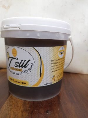 Miel T'SIIL- 1500 g – Image 1