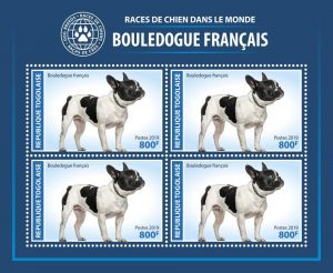RACES DE CHIENS DANS LE MONDE - Image 1