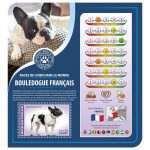 RACES DE CHIENS DANS LE MONDE