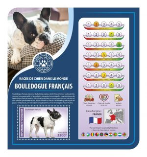 RACES DE CHIENS DANS LE MONDE - Image 1