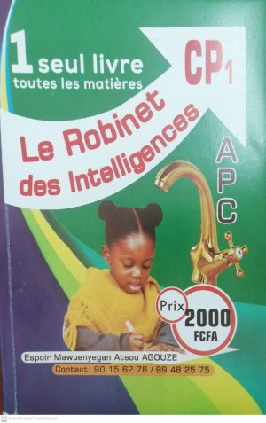 ROBINET DES INTELLIGENCES CP1 – Image 1