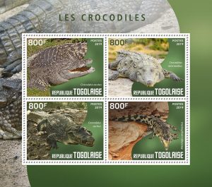 CROCODILES - Image 1