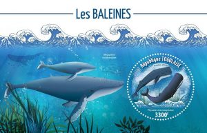 LES BALEINES – Image 1
