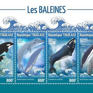 LES BALEINES
