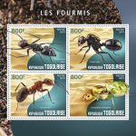 LES FOURMIS