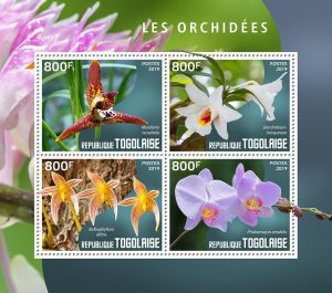 LES ORCHIDEES – Image 1