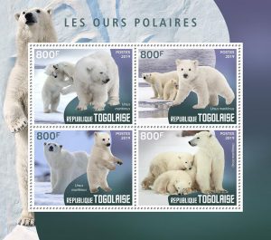 LES OURS POLAIRES – Image 1