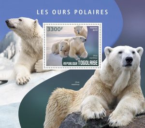 LES OURS POLAIRES – Image 1