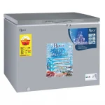 CONGELATEUR ROCH HORIZONTAL 250 LITRES